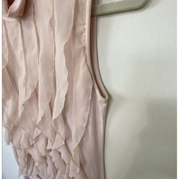 Kenar Blush Light Pink Sleeveless Victorian Ruffle Front Mock Neck Blouse Small - Picture 5 of 9